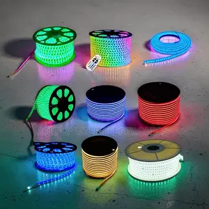 160M Remote Controlled LED Snake Lights Strip Lights Wholesale Prices