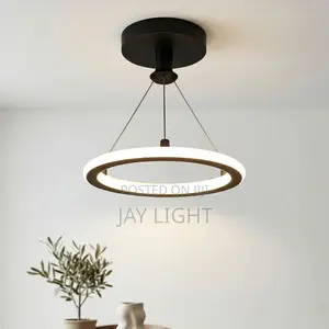 Luxury Modern Simple Small Metal Ceiling Chandeliers Pendant Light