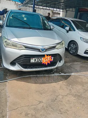 Toyota Corolla Fielder 2017 Silver