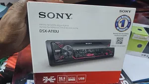 Sony DSX- A110u