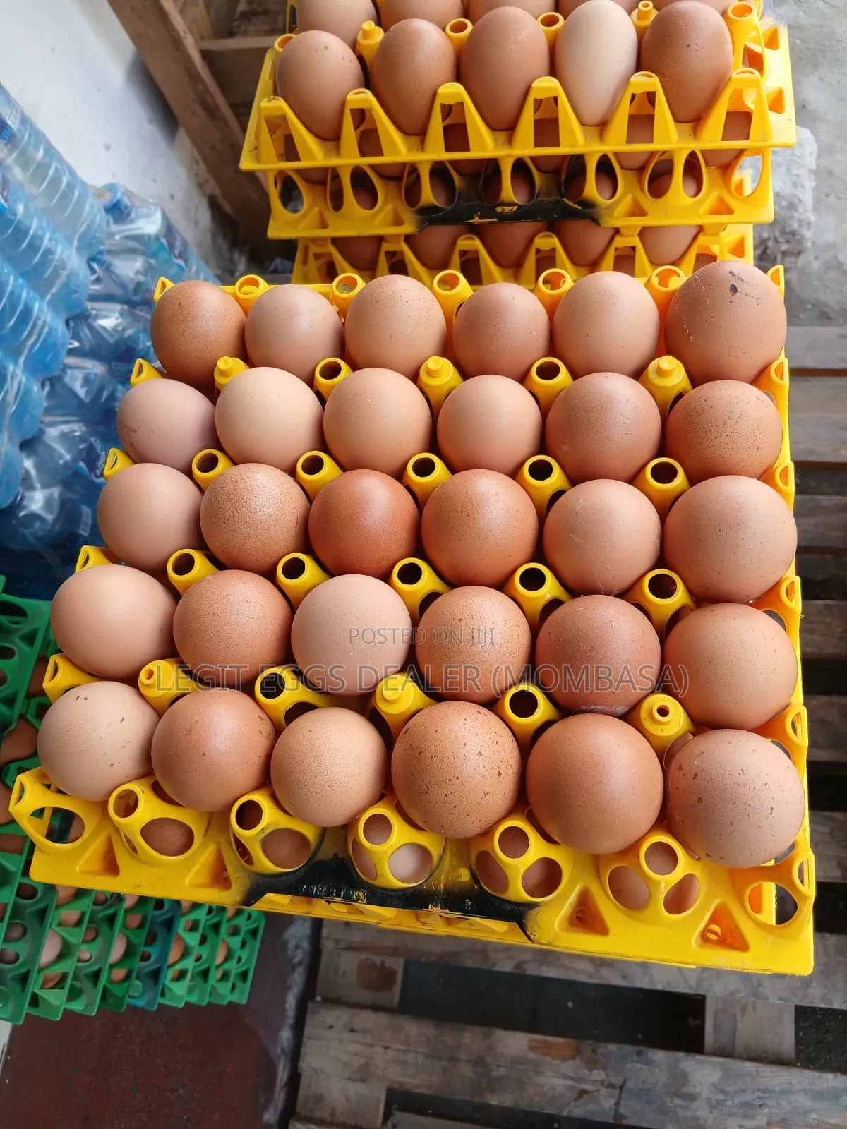 Layers Eggs