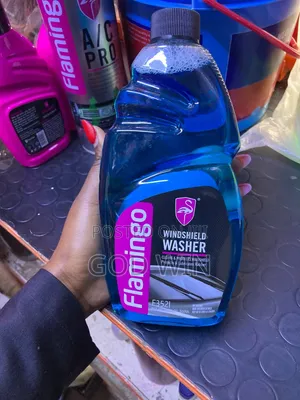 Windshield Washer