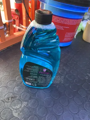 Windshield Washer