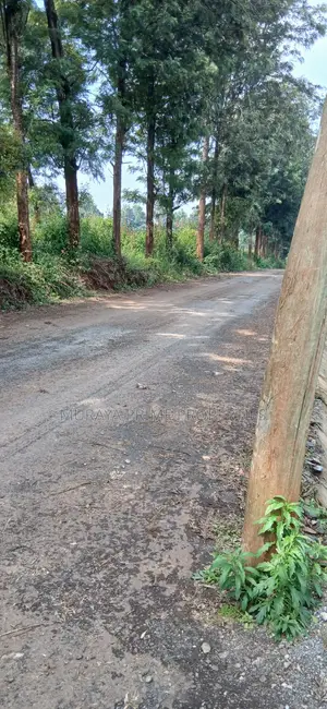 Half-Acre Prime Plot for Sale – Kerarapon Drive