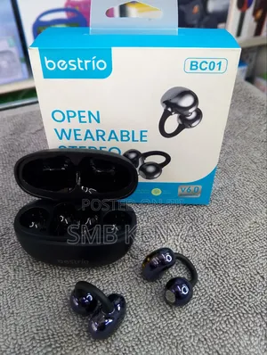 Bestrio Portable Audio and Video Earbuds