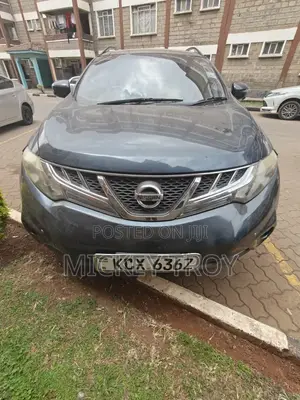 Nissan Murano 2013 Blue