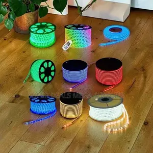 5M Long LED Snake Lights Strip Lights Wholesale Prices