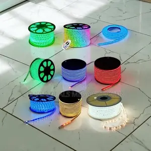 100M Bright Illumination LED Snake Lights Strip Lights Wholesale Price