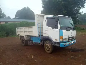 Mitsubishi Fuso Canter 2004 White
