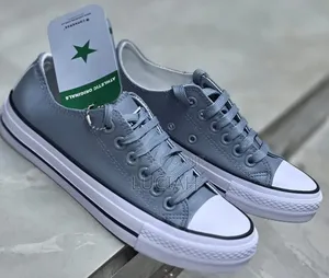 Wipe and Go,Original Leather Converse