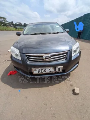 Toyota Axio 2009 Gray