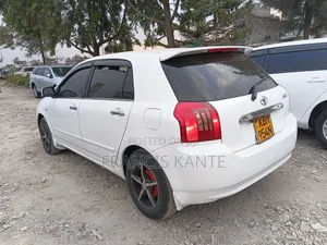 Toyota Allex 2008 White