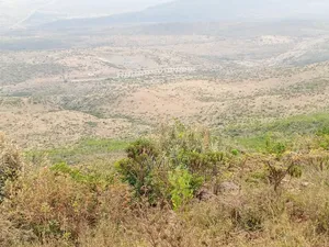 Low Price 5acres Land in Ndeiya Nguirubi Karera Area.