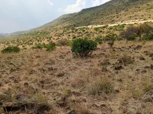 Land for Sale 5acres Block in Ndeiya Nguirubi SGR Area