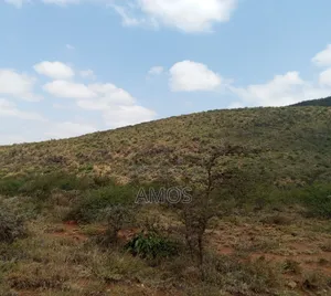 5acres Land in Ndeiya Nguirubi Karera Passing Through Mboma Area