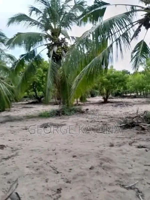 Beach Plots for Sale