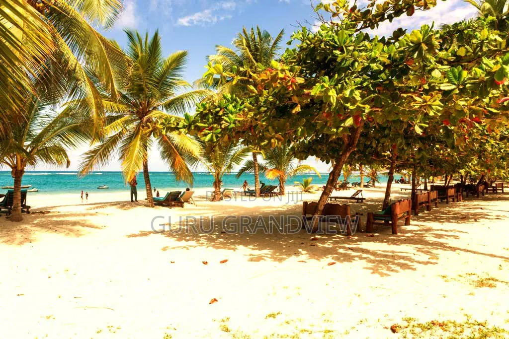 Diani Beachfront 2 Bedroom Pool Beach