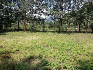 1⁄4 Acre for Sale in Kibiko, Ngong