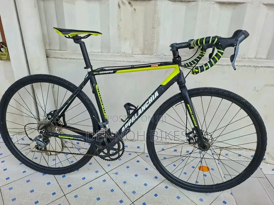Appalanchia Gravel Bike