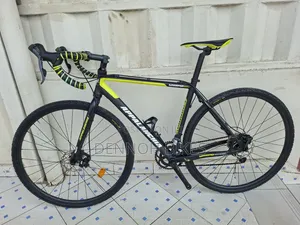 Appalanchia Gravel Bike