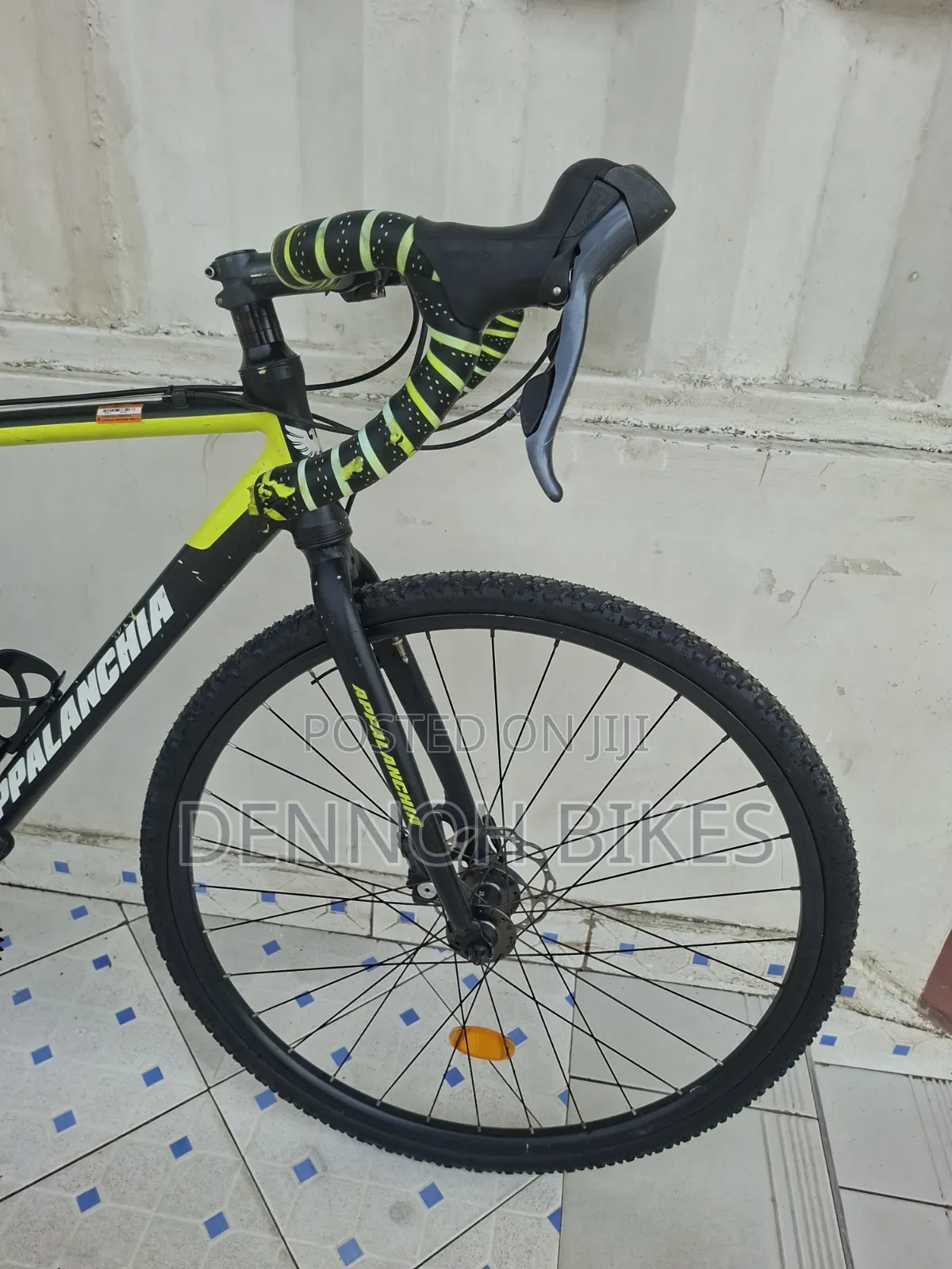 Appalanchia Gravel Bike