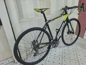 Appalanchia Gravel Bike