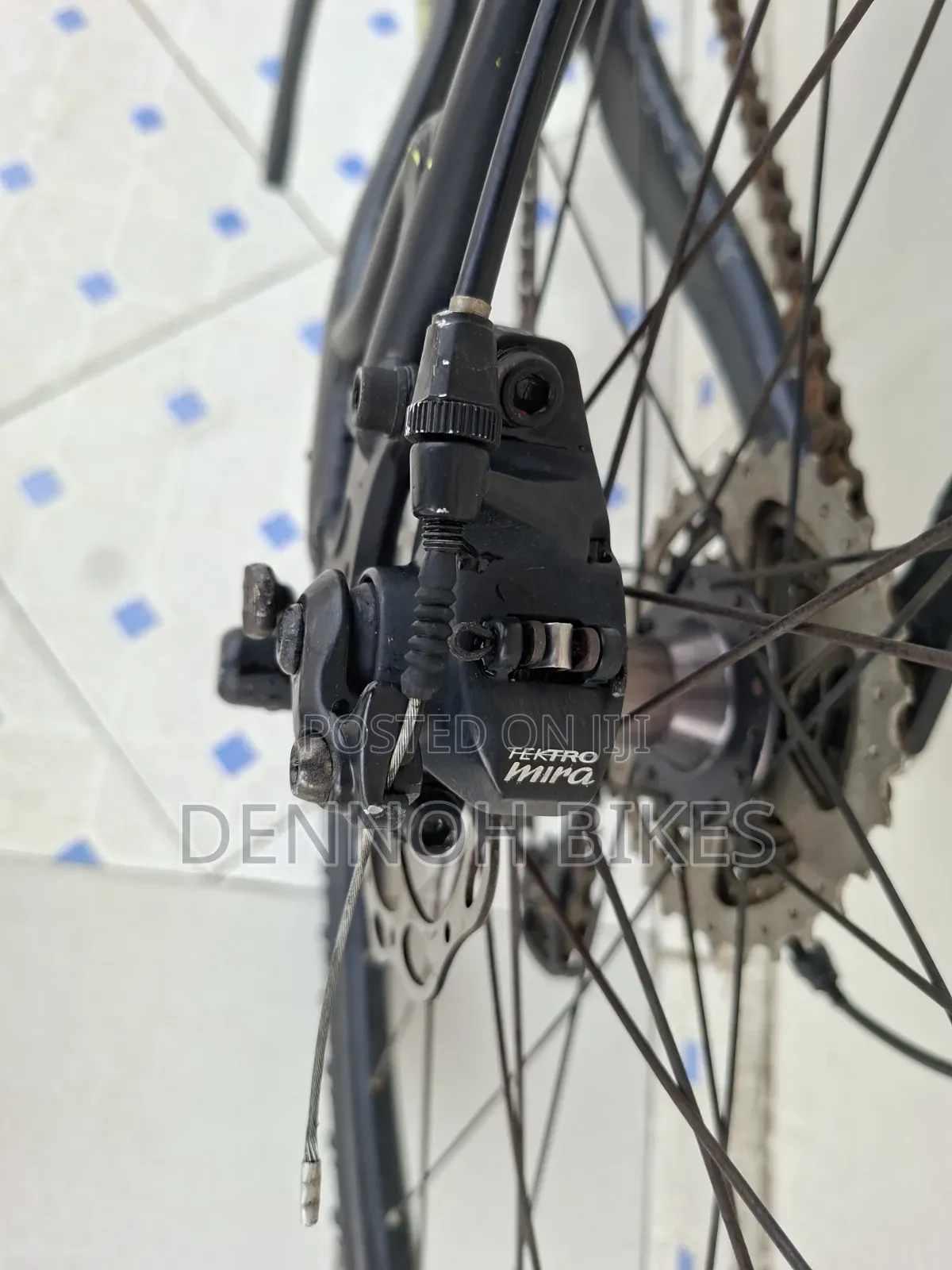 Appalanchia Gravel Bike