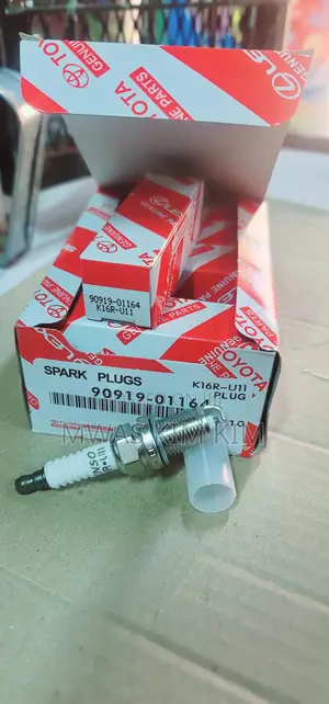 Spark Plugs
