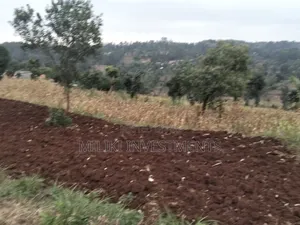 2.5 Acres on Sale at Kenol -Kabati