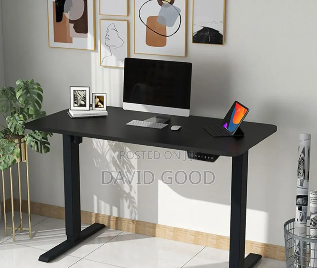 Adjustable Standing Electric Standing Desk
