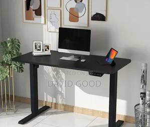 Adjustable Standing Electric Standing Desk