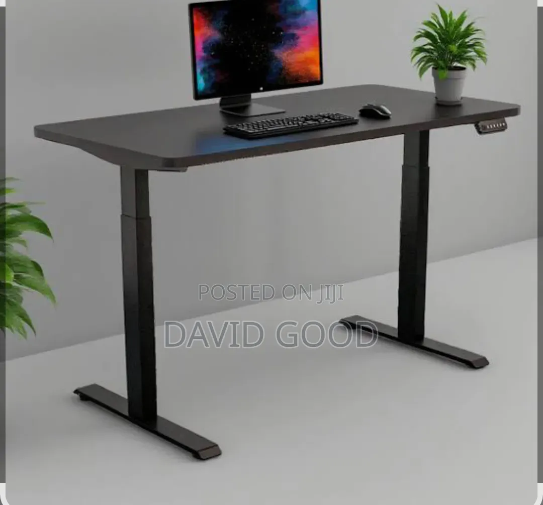 Adjustable Standing Electric Standing Desk