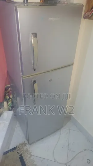 Engchi 2 Door Fridge