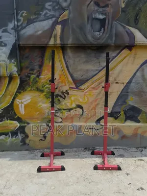 Heavy Duty Gym Squat Stand – Adjustable Height