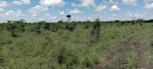 20 Acre Parcel Off Kiserian-Isinya Rd