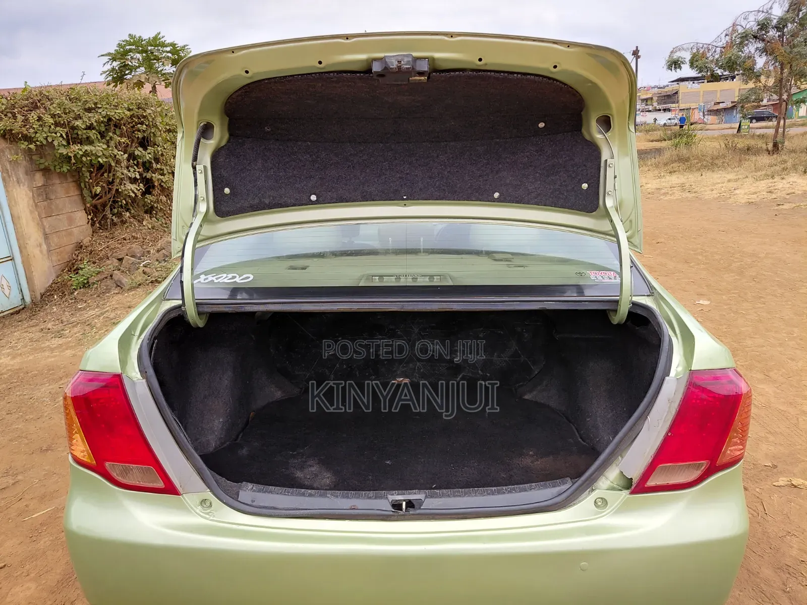 Toyota Axio 2009 Green
