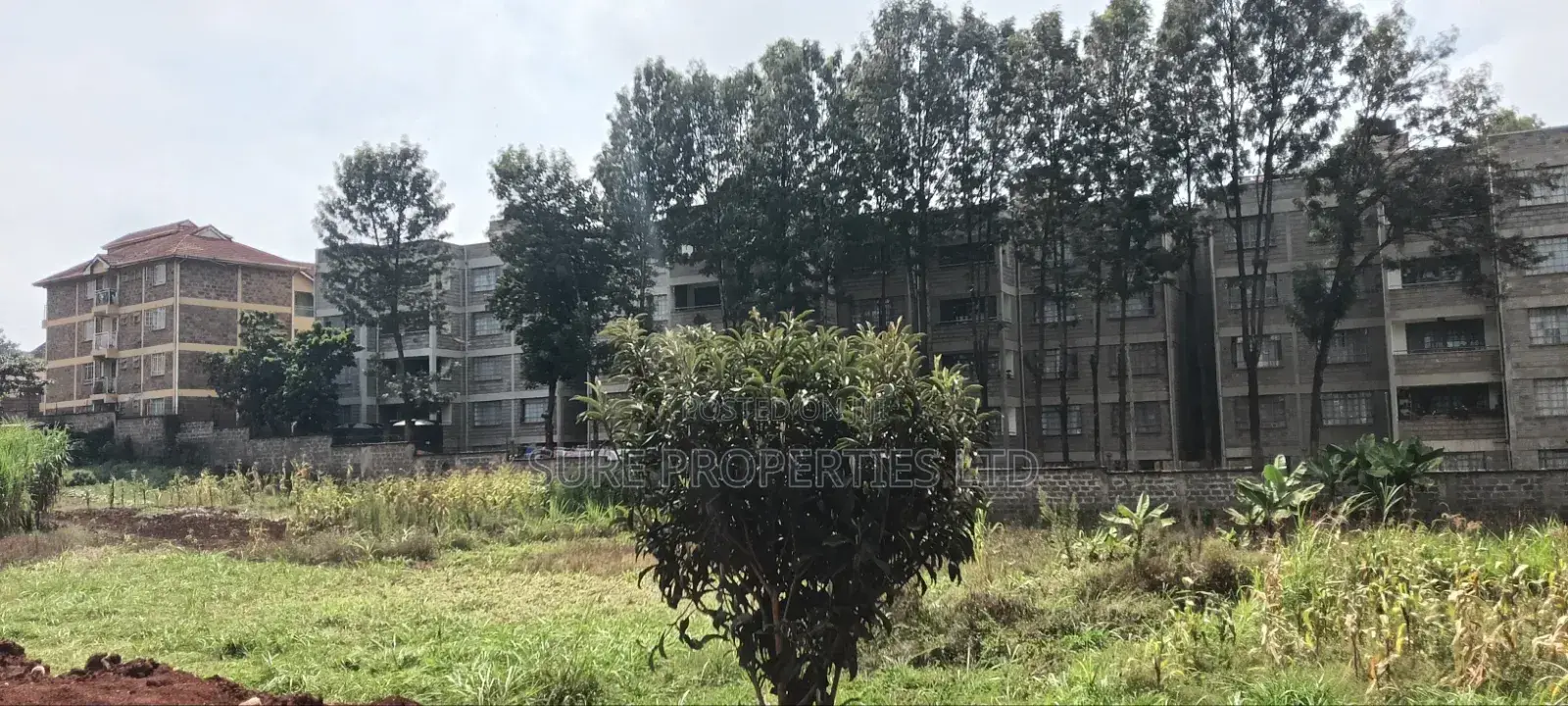 100x70 Kinoo Commercial Plot
