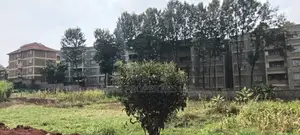 100x70 Kinoo Commercial Plot
