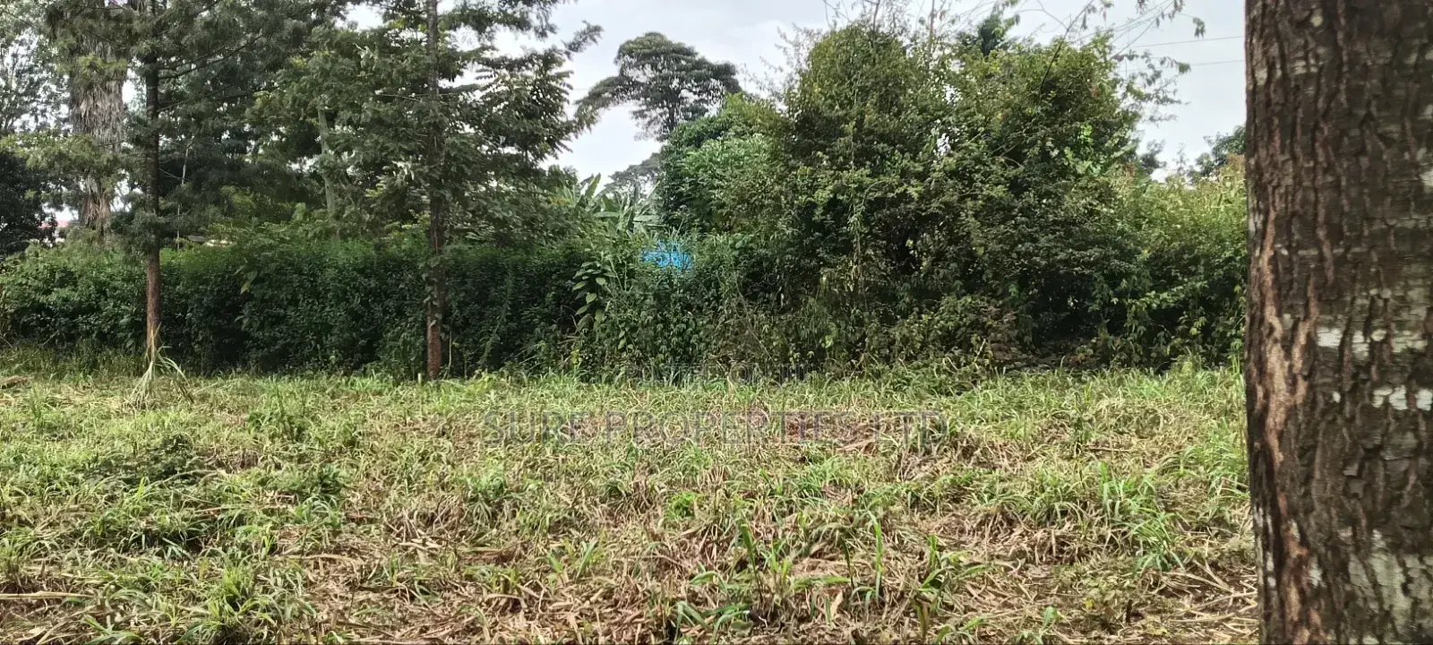 1 Acre Kinoo Plot on Tarmac