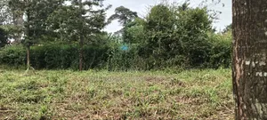 1 Acre Kinoo Plot on Tarmac
