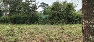 1 Acre Kinoo Plot on Tarmac