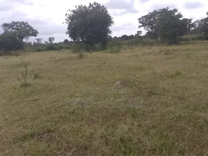 Land and Plots Sales