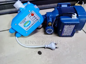 Pedrollo 0.5 and Automatic Pump Control