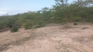 Land for Sell