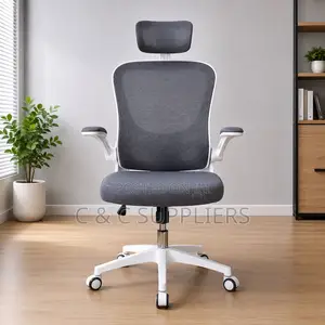 Ergonomic Home Mesh Chair With Flip Arm's.