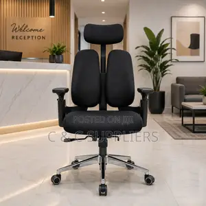 Orthopedic Dual Back Executive Chair.