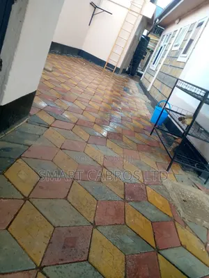 Cabro Cleaning and Polishing