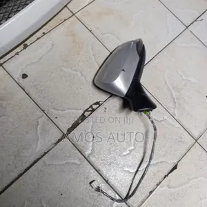 Fielder/Axio 2012 (161) Side Mirror