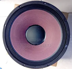 Dewell Naked Speaker