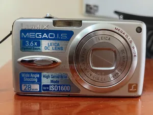 Panasonic Lumix DMC Fx01 Camera